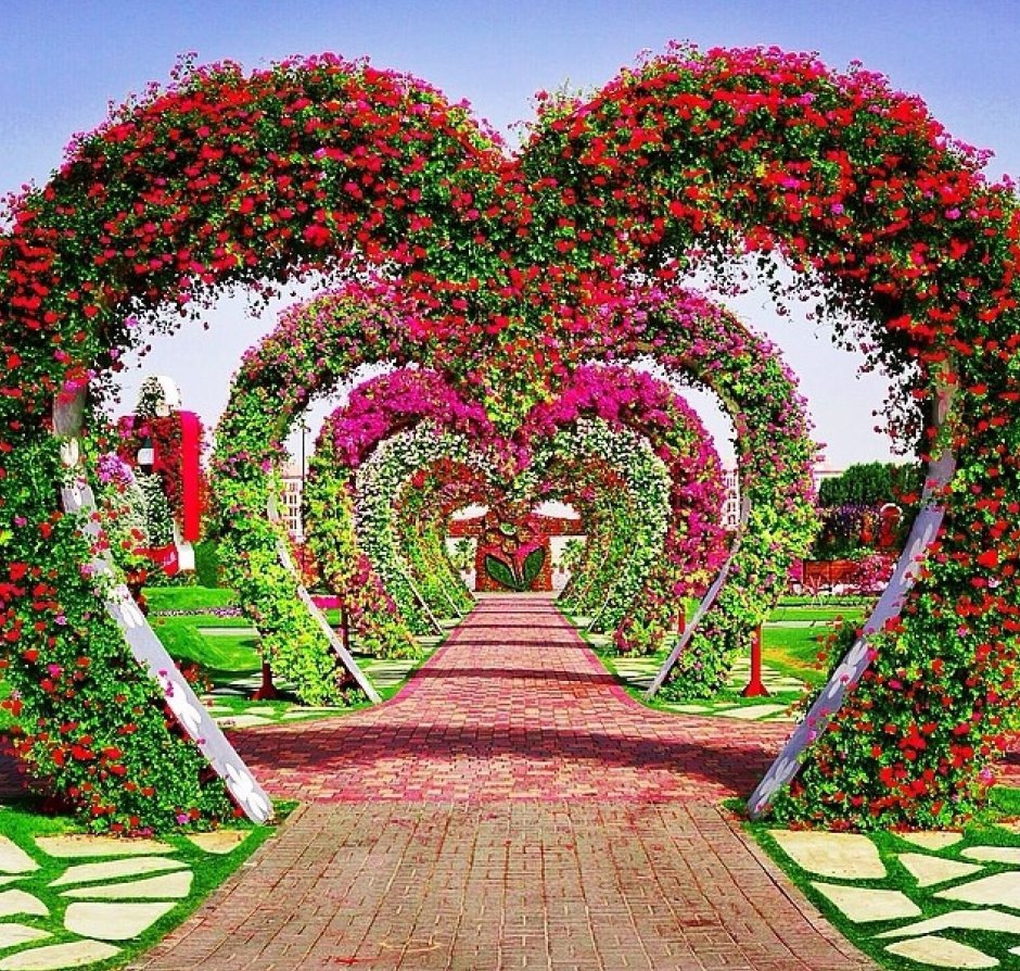 Dubai Miracle Garden амфитеатр