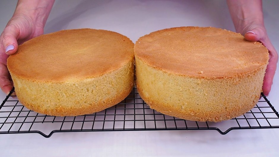 Бисквит для торта пышный и простой