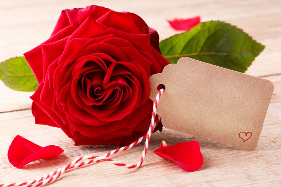 Красные розы на день Святого Валентина