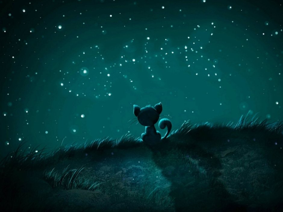 Кот на фоне звездного неба