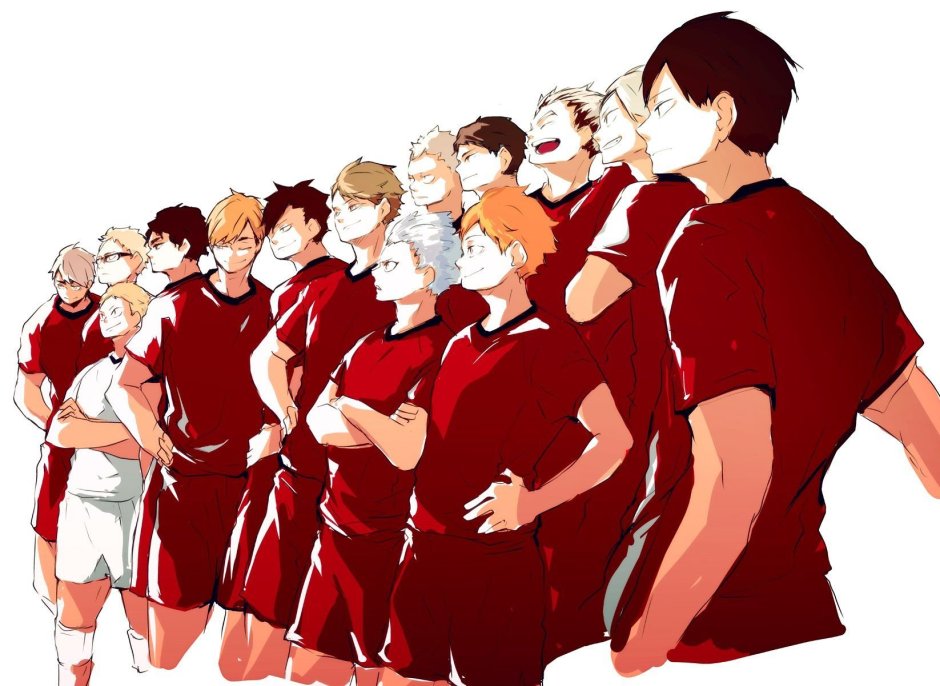 Аниме волейбол команда Сакуса