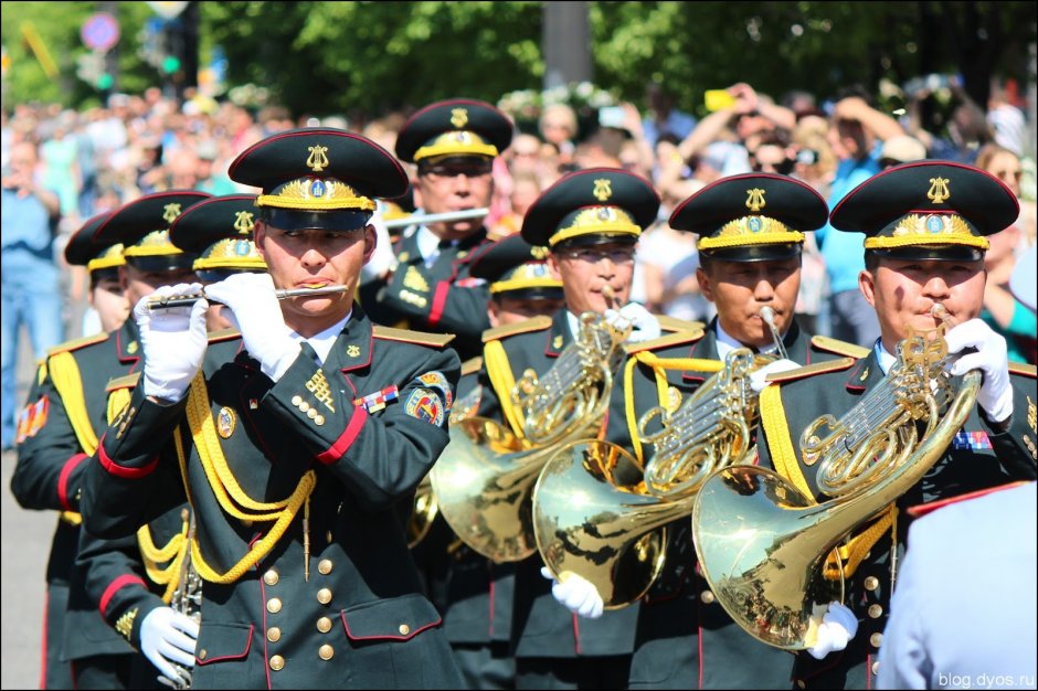 Амурские волны Тихоокеанского