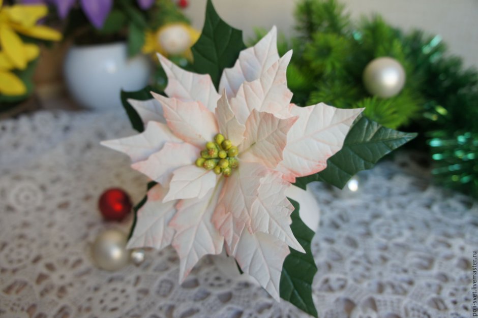 Рождественский цветок пуансетия белый