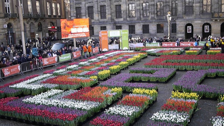 Нидерланды фестиваль тюльпанов