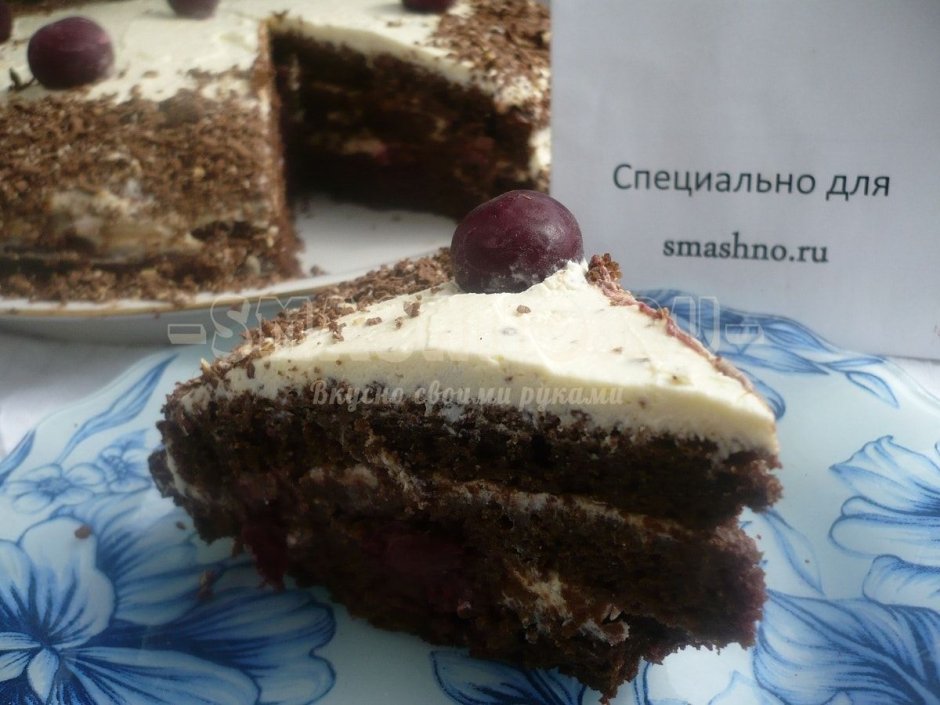 Торты и пирожные Татьяны Николаевой