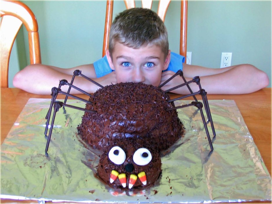 Торт с пауками и жуками