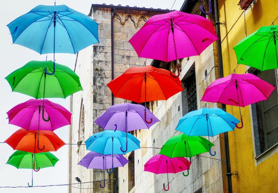 Много зонтов