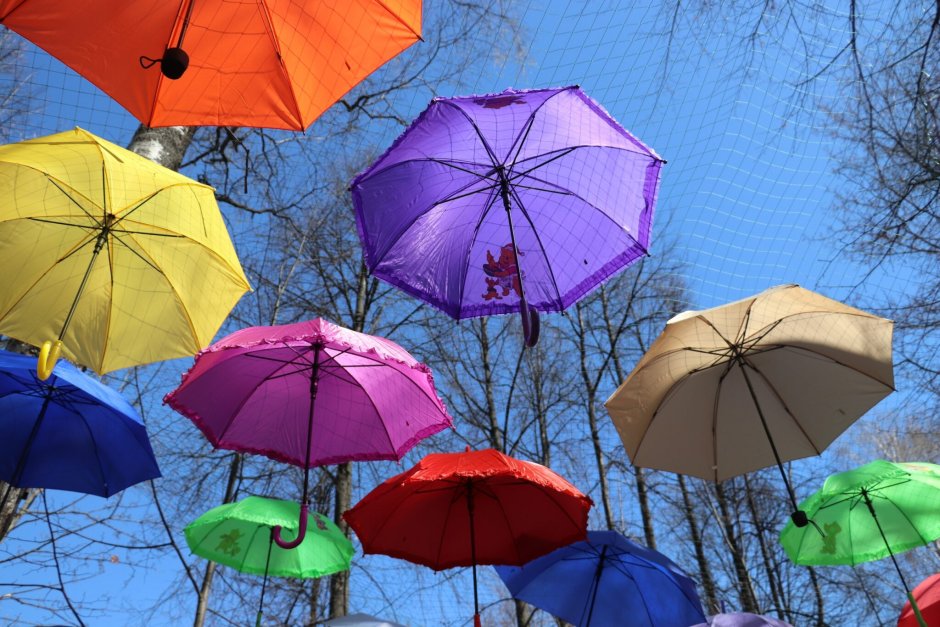 Заставка с зонтами и пожилыми