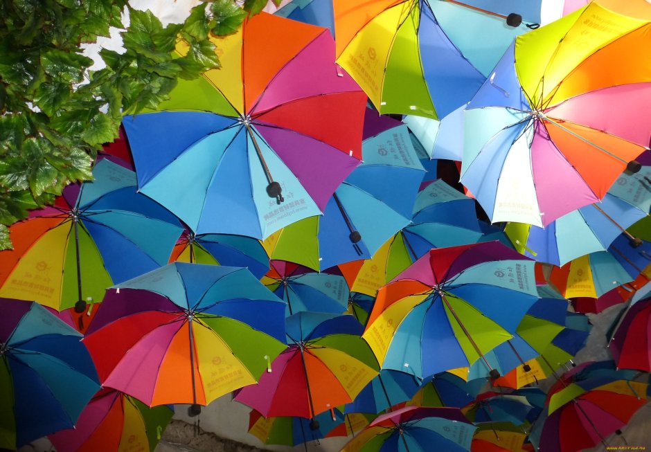 Разноцветные зонтики много