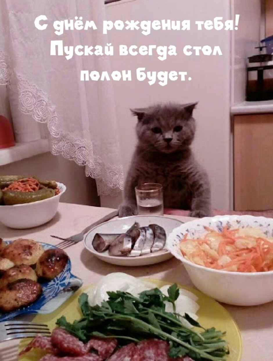 Смешной кот