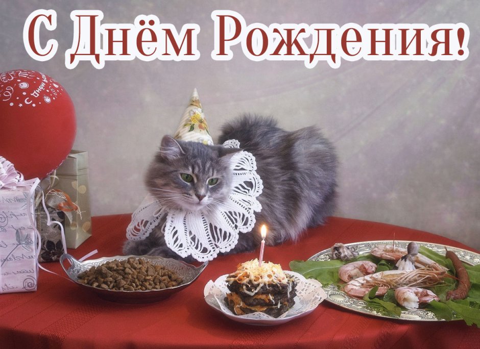 Котик обедает