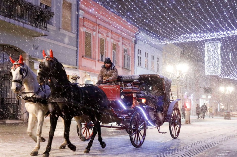 Белград Рождественские ярмарки