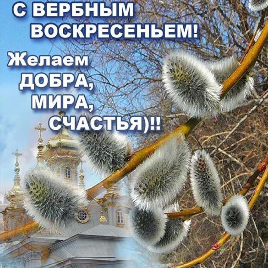 Вербна недиля