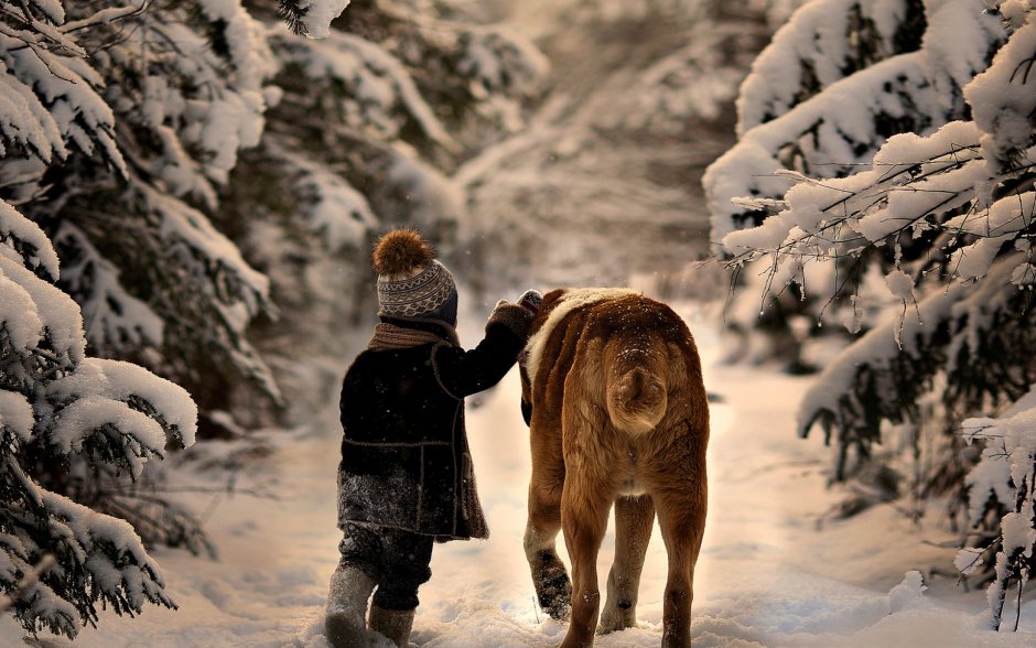 Зима люди и животные