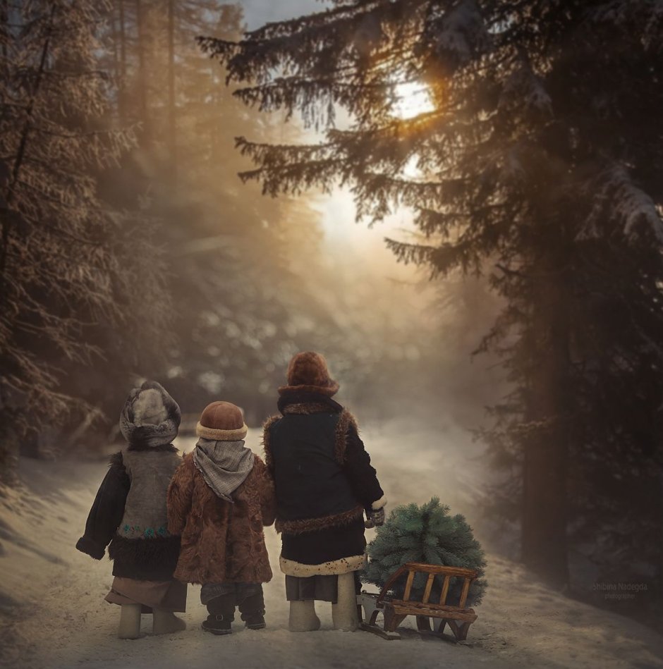 Зимний лес для детей