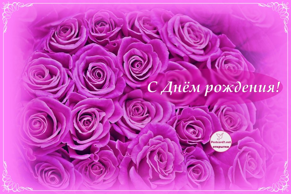 С днем рождения фиолетовые розы