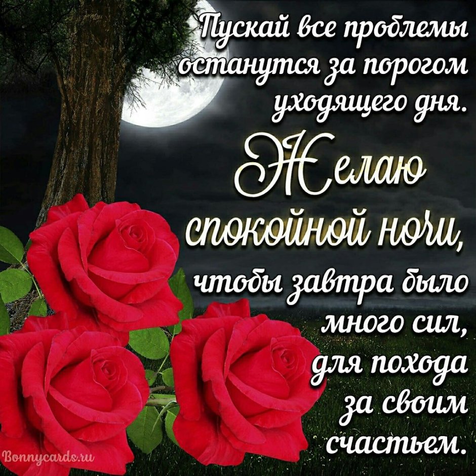 Спокойной ночи с розами и пожеланиями