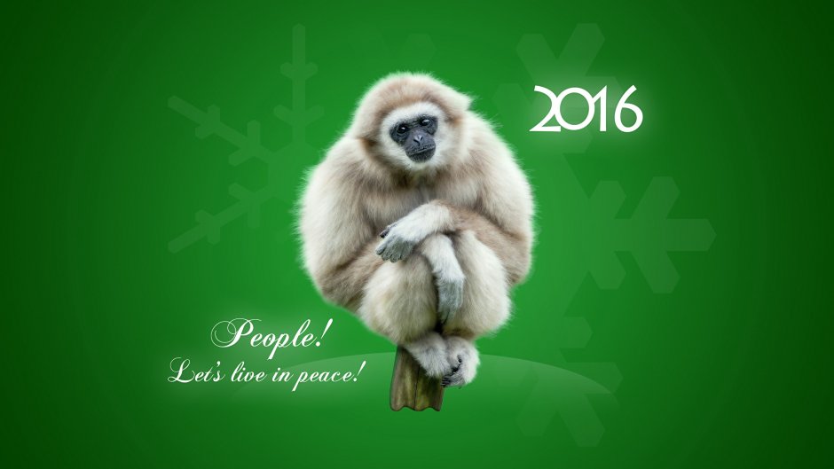 Новогодняя обезьянка