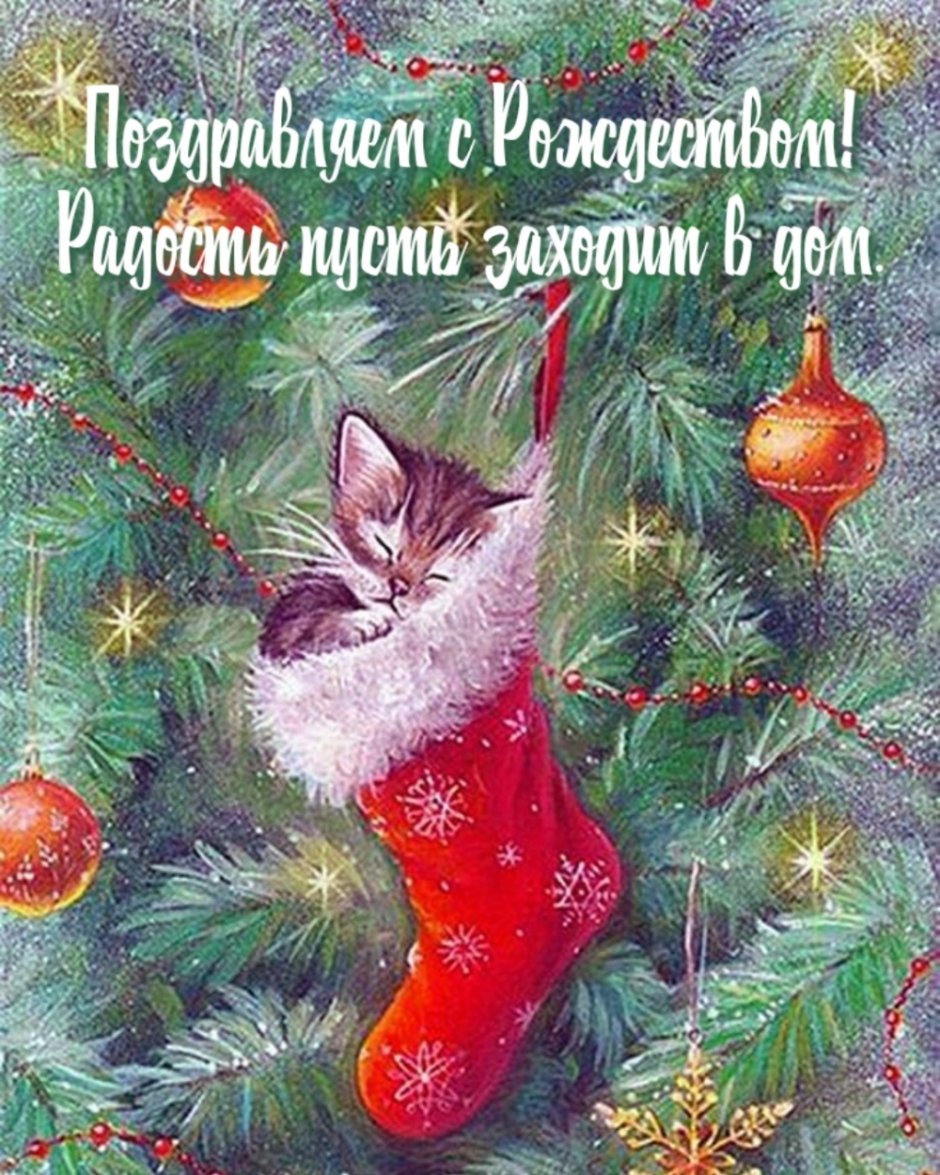 Новогодняя открытка с котом