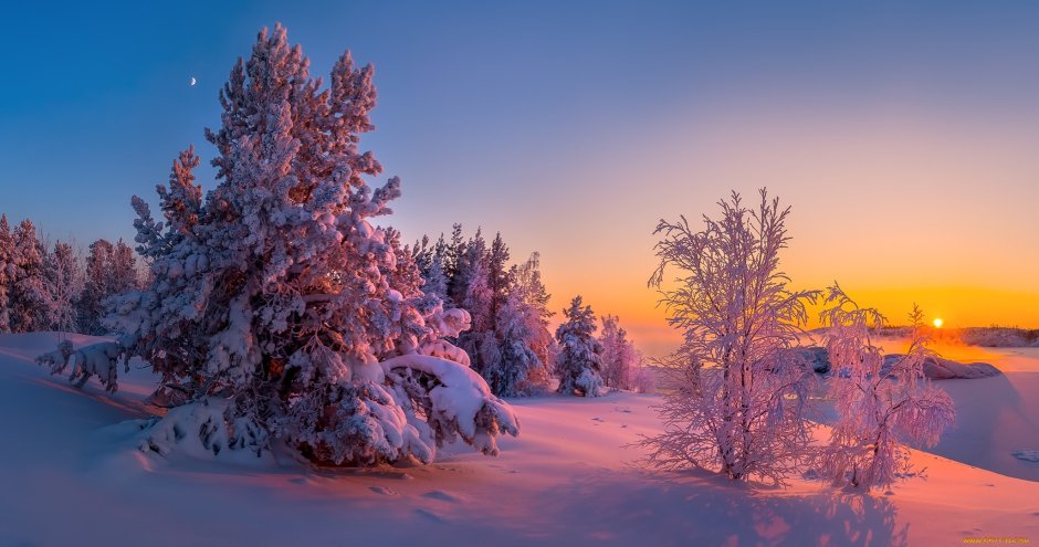 Зимняя сказка природа