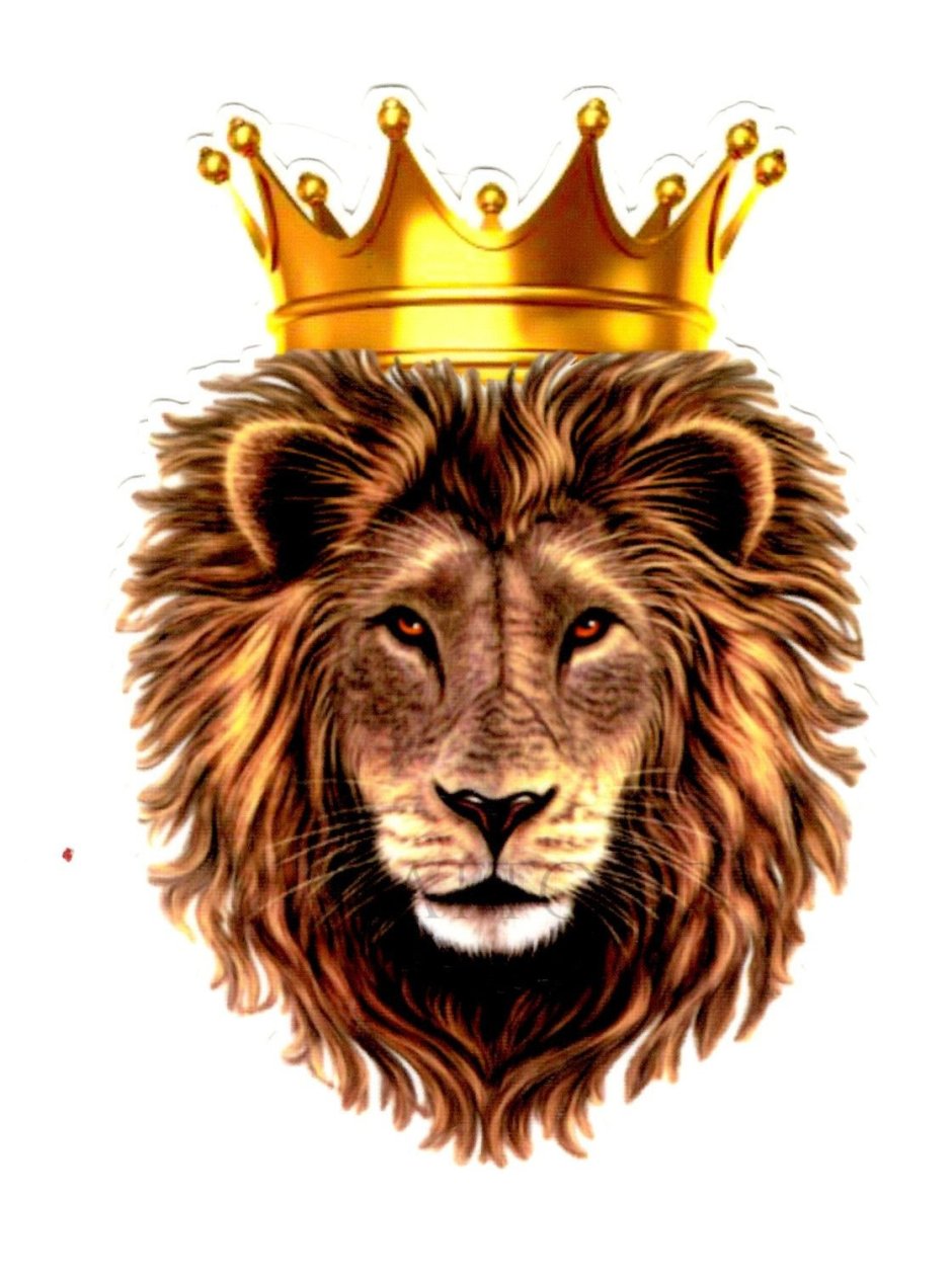 Лев с короной на белом фоне