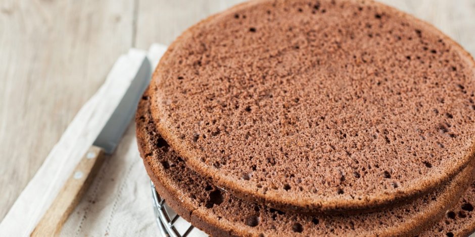Шоколадный бисквит Паулин кейк