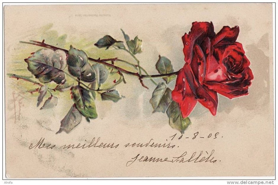 Старинные открытки с цветами