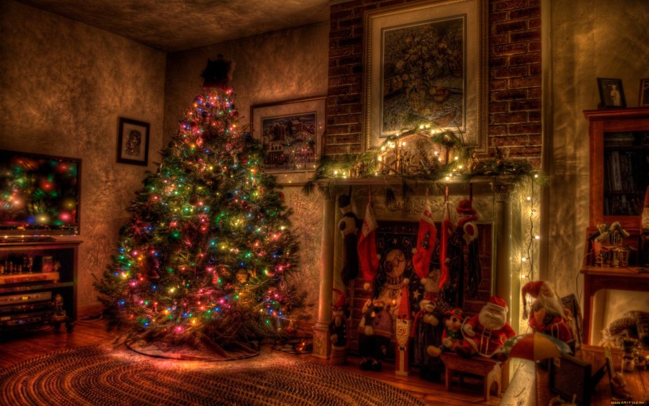Рождество елка