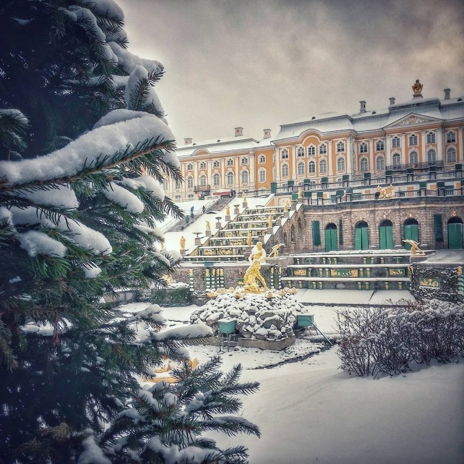 Зимний дворец Петергоф Нижний парк зимой