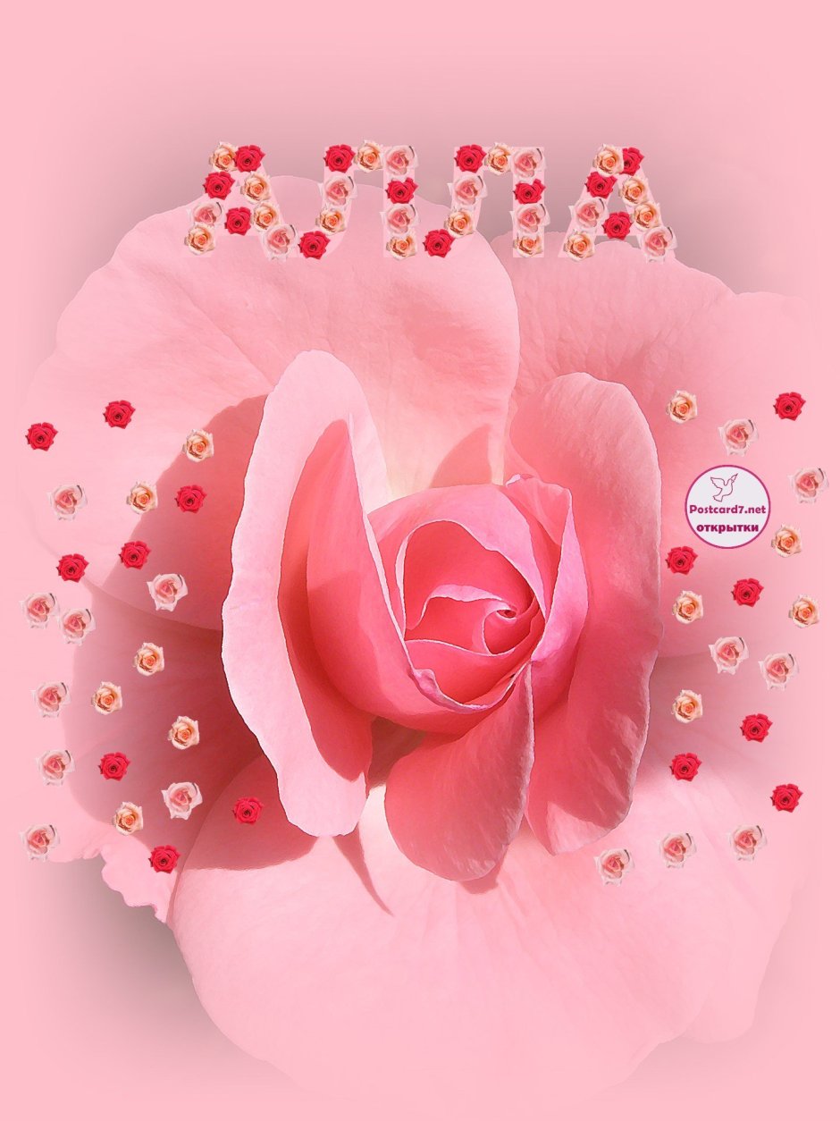 Розы для Аллы открытка