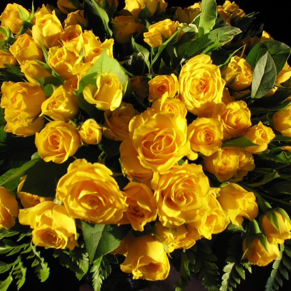 Желтые цветы с пожеланиями