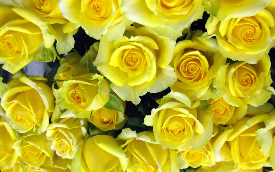Шикарный букет желтых роз для любимой