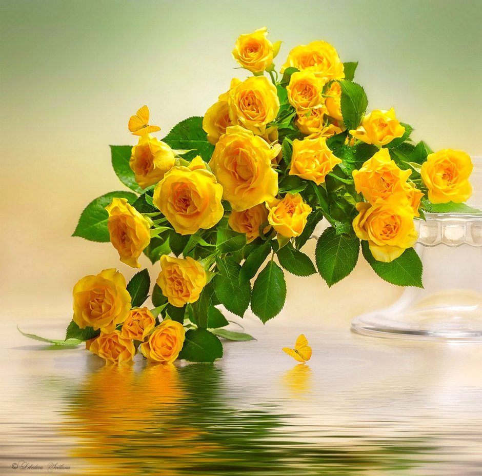 Шикарный букет желтых роз