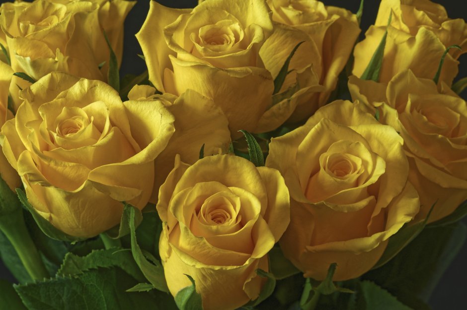 Букет желтых роз на прозрачном фоне