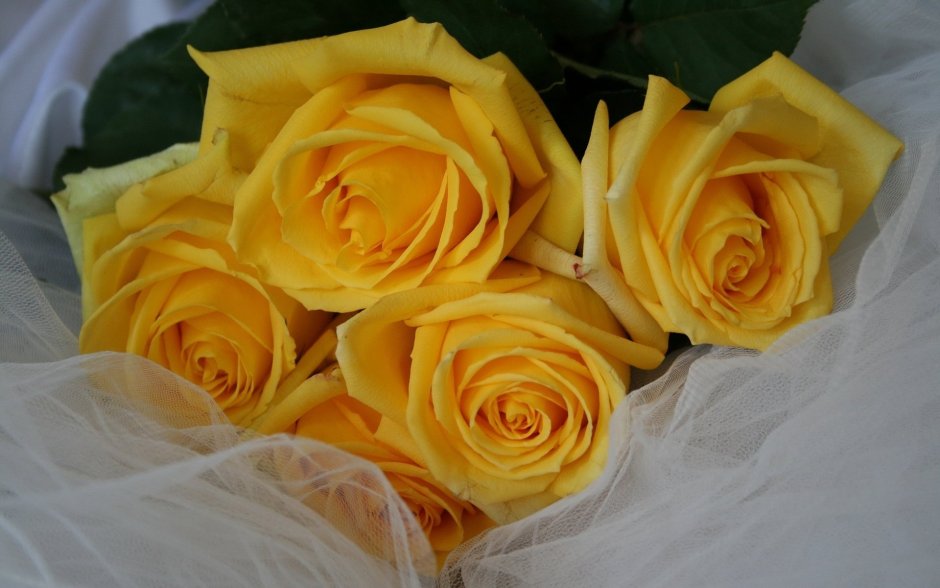 Желтые розы на столе