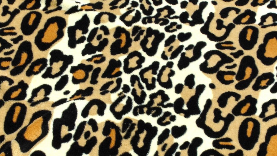 Пятнистые кошки леопард гепард