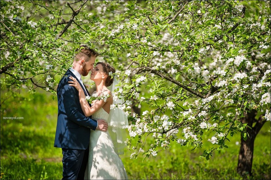 Свадьба в яблоневом саду