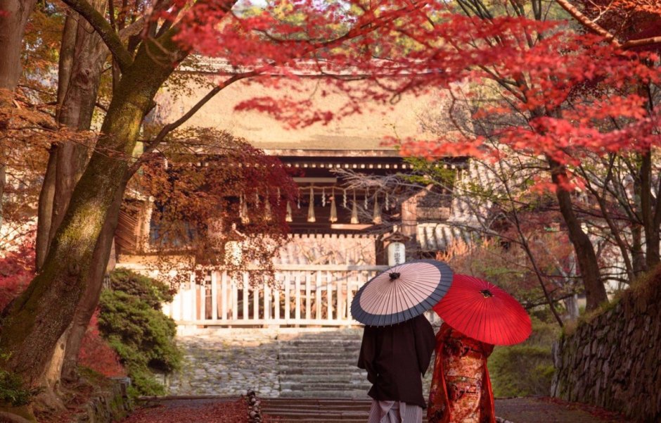Осень Япония храм