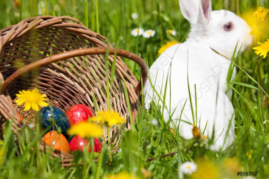 Кролик в корзине с раскрашенными яйцами