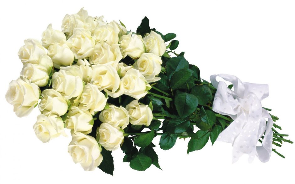 Букеты белых роз с лепестками