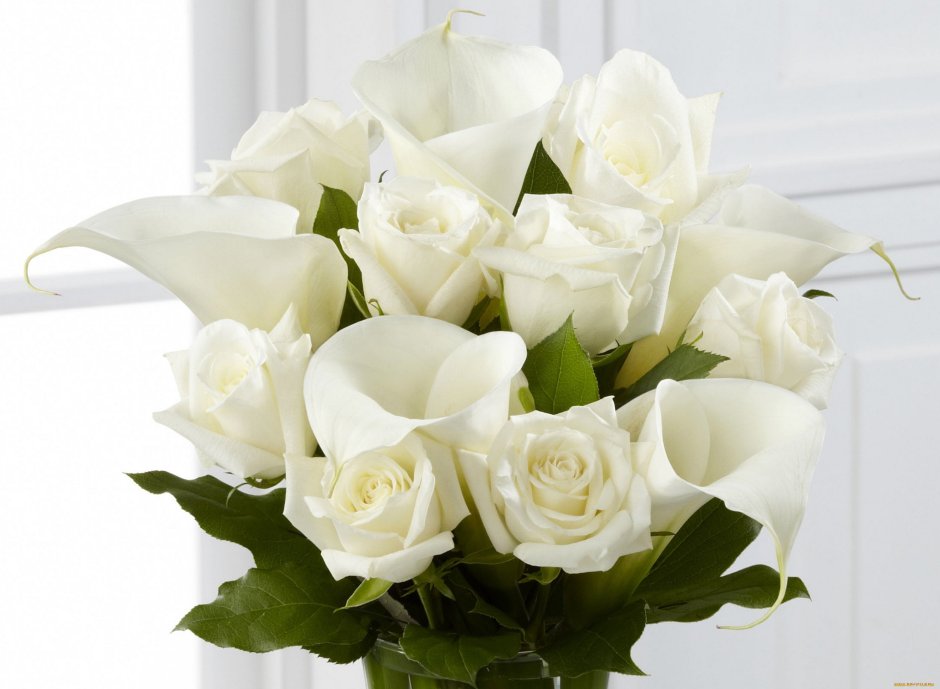 101 Белая роза "Атена"