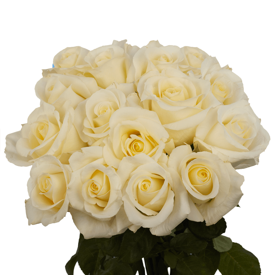 Букет белых роз спасибо