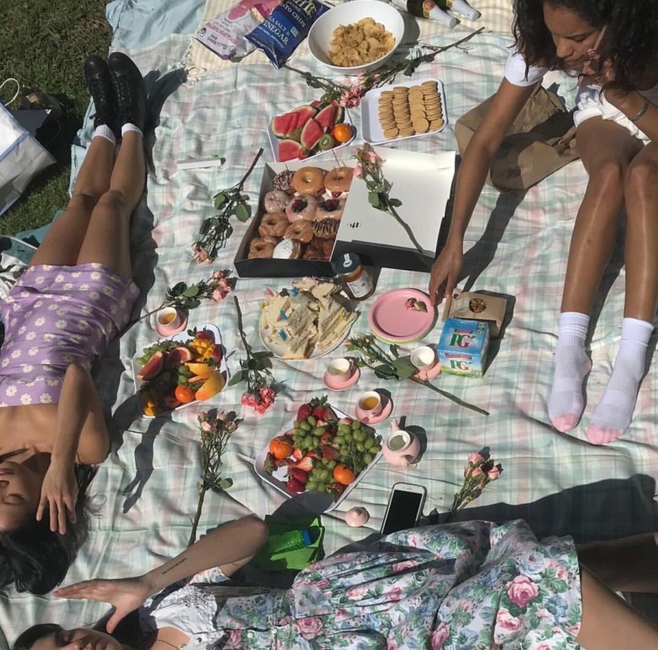 Пикник с друзьями Эстетика