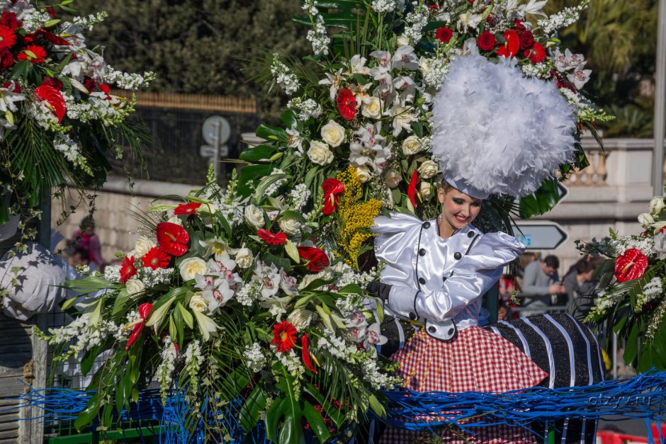 Карнавал в Ницце битва цветов