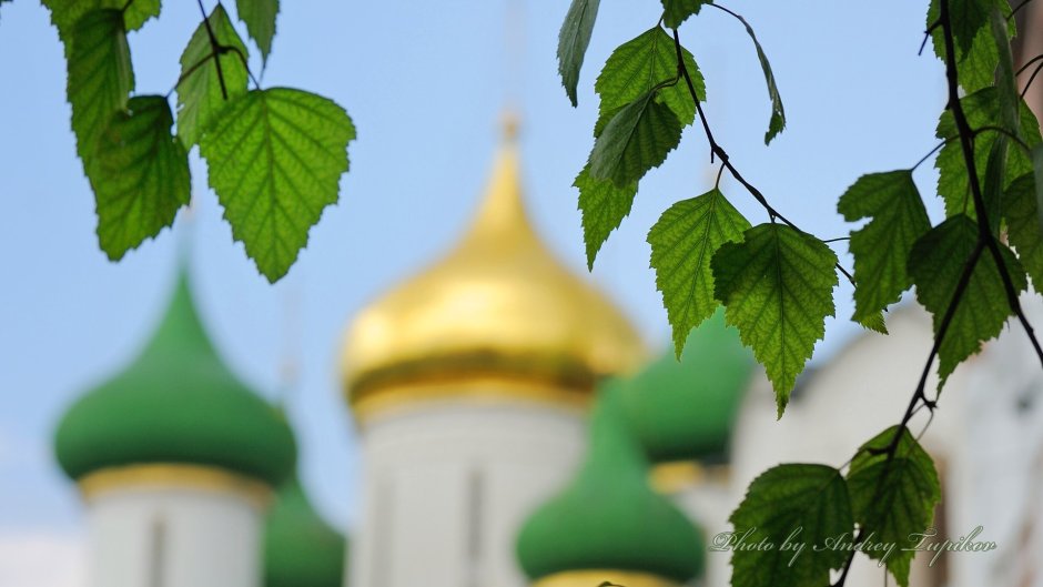 Троица береза храм