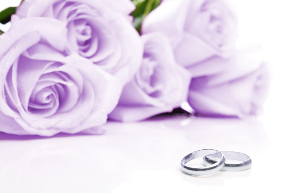 Свадебный фон фиолетовый с кольцами