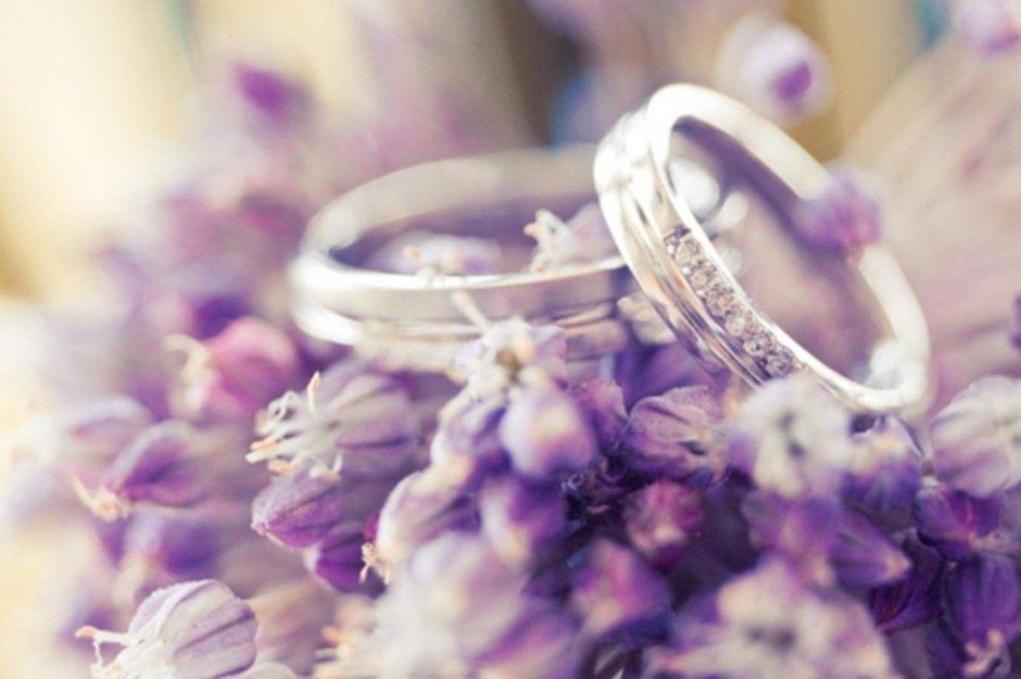 Свадебные кольца фиолетовые