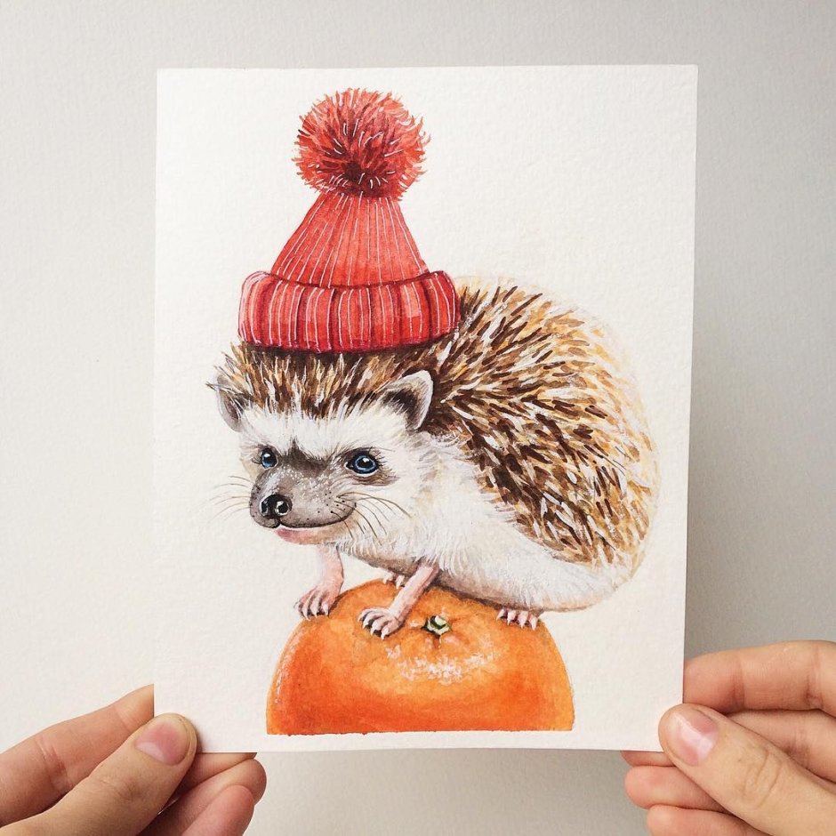 Hedgehog Christmas Art Instagram