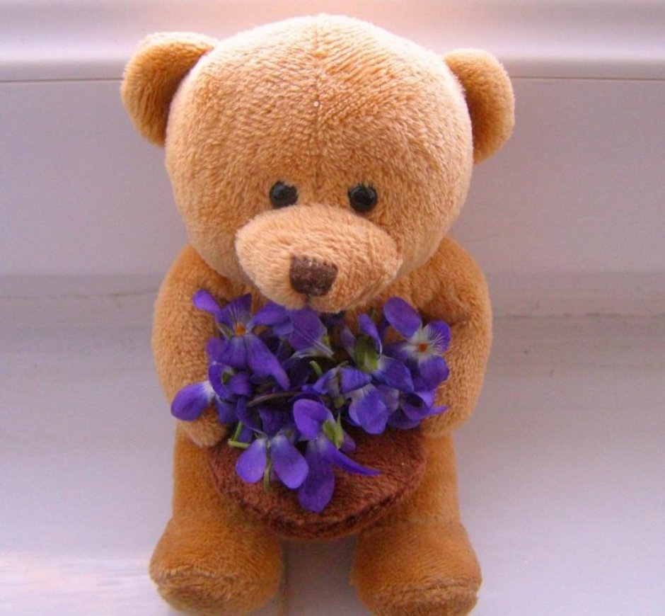 Тедди Беар цветы