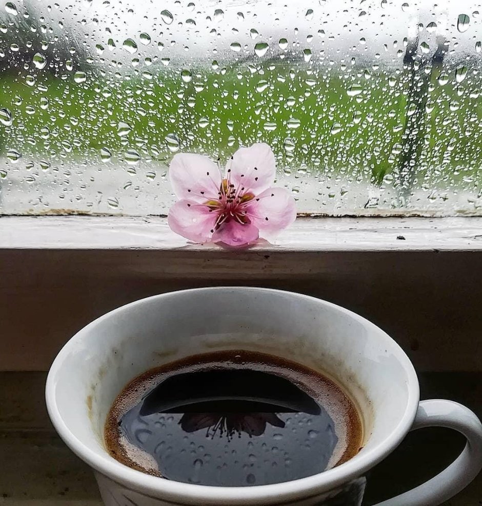 Осень чай окно